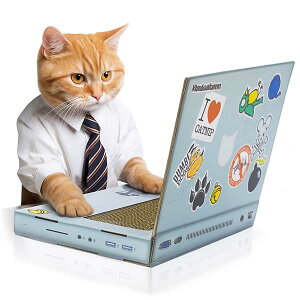 suck UK yTbNUKzLbg XNb` bvgbv Cat Scratch PC lRp߂Ƃ