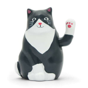 KIKKERLAND yLbJ[hz SOLAR CAT \[[ Lbg L