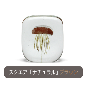HEREyqAzJellyfish WF[tBbV y[p[EFCg 炰 KX IuWF