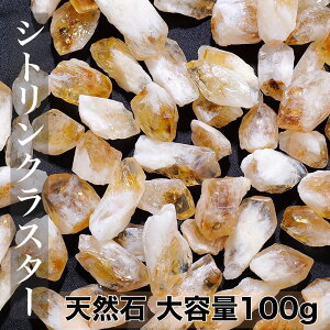 y΁zVgNX^[|Cg100g VR [ \ ANZT[ENtg zRN^[ Xs`A