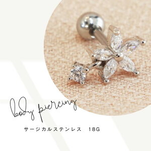 AΉVvsAX sAX t[ {fBsAX h  XeX WRjA  18G Ў