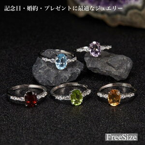 y␻ۏ؏tzSilver925 ȉ~JbgVR΃O Iׂ6 [Xgp t[TCY w w w fB[X Vv  ΃O a v[g WG[M