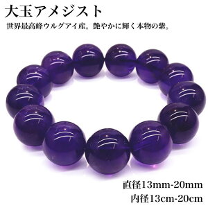 yVRۏ EOACY ʃAWXguXbgzFEI݊Q̉߂p[v VRAWXg 13`20mm  2a VR p[Xg[ ̎  