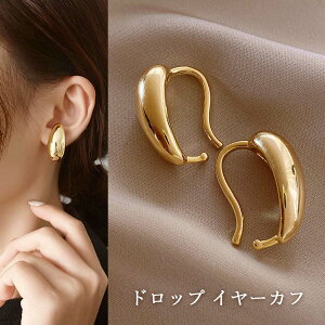 C[Jt CO hbv   CJt Ԃ EFAO mz[ tFCNsAX fB[X  2Zbg LbYsAX qsAX AM[Ή l 킢 W