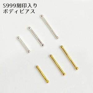 yS999tzsilver999sAX x  Vo[999 f ɏ {fBsAX @sAX m[YX^bh Xg[g X^bhsAX ςȂ Vv Vo[ S[h