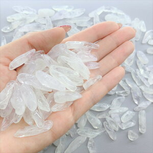 21 eVR΂  򉻗p Wp DIYnhCh  p[Xg[א   AWXg sXY yhbg ^CK[AC `NH[c ^CK[AC 