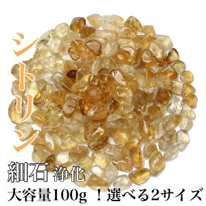 2TCY Vg ^ ?   򉻗p Wp DIYnhCh VRΉ VR΃p[Xg[