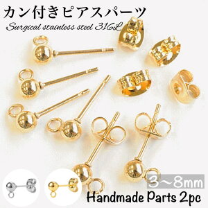 T[WJXeX Jt sAXp[c ANZT[p[c nhChp[c {[sAX AM[Ή 2 yJcz