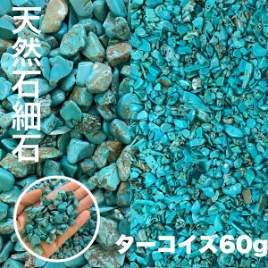 nECggR ^[RCY VR 60gJ^    12a S  gR