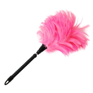 ̂тIVg̖т͂isNjyoׁz