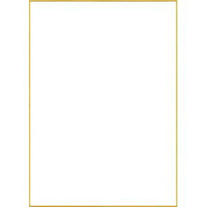 TCF F4 242×333mm ܂鏼 SE001 TCp CXgp ɂ܂Ȃ 10pbN