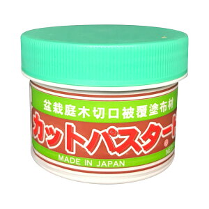 BONSAIOUTLET niQ JbgpX^[Hi p 190g ~͒ؐ،핢hz
