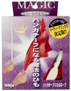 e[Tenyo nJ`[tɂȂ郍[v