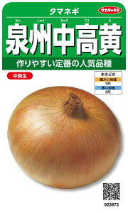 TJ^̃^l 3973 B ^}lM