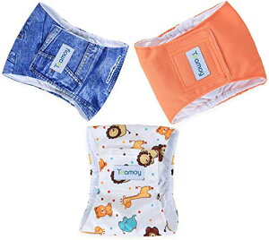 Teamoy }i[xg 3_Zbg IX bVn zwt hHn EFXgTCY\ }[LOh~ p R炵