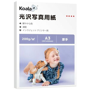 Koala ʐ^p ꂢȌ 0.23mm  A3 50 200GSM Жʈ CN CNWFbgv^[p