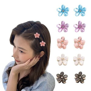 ISHR ONbv ~jwANbv 10  ^̃wANbv    wAANZT[ fB[X a p[