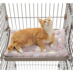 PAWZ Road Lxbh ybgxbh }bg P[Wp ʎgp Yh~ 藎h~ nbN lRt  v ʔNp 2