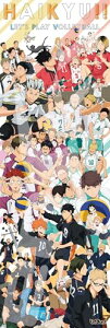 GXJCENSKY WO\[pY nCL[ HAIKYU CHRONICLES 950s[X 950-48