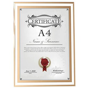 tHgt[ A4 210X297mm KX ʐ^  S[h  ܏pz \ F CeA A[gt[