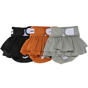 Avont p}i[xg 3 Xp  ėp\ z EFXgTCY\