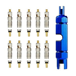 DFsucces バルブ コアツールキット 10+1セット 仏式バルブコア レンチツール キット アルミニウム合金製 交換用 タイヤエアバルブ