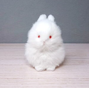 �����f�U�C�������� �킽�� �ʂ������ �䂫������