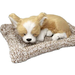 TATOTTE ̂ʂ A u Q炪 Y  CeA` CR