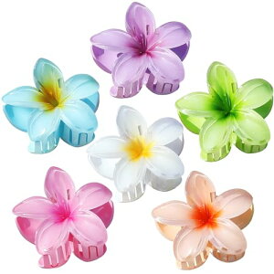 Sisiaipu �n���C�A�� �v�������A �w�A�A�N�Z�T���[ - 6�p�b�N ���[�W�N���[�N���b�v �������ƍׂ����p �r�[�`�g���s�J���w�A�N���b�v