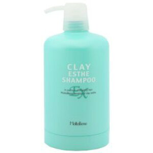 gx[l NCGXe Vv[EXpJ[gbW 500ml