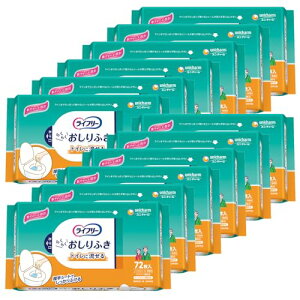 Ct[ lpӂ gCɗ 86472×12 P[Xi