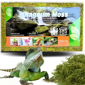 OKAWASI  VR |p k 150g ~YSP Ӓ A ւ |p |{y ƒ؉ HA ঒ސAy