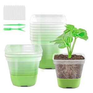 STATIN4 c|bg c q gC \tgVRx[X c  ʋC |pi A ƒ؉ c ėp\