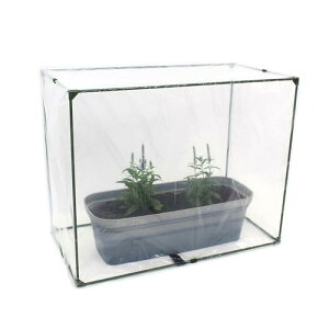 daim ۂ ۉ Jo[  75cm×s40cm×60cm v^[ ƒ؉ ۉ A c  A 悯 