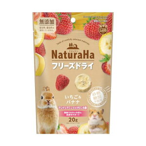 ~j}h i`n t[YhC oii 20g