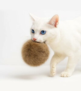 HOLYCAT L  {[ L̂ RR VR F VRrbgt@[ы ŋۍς ӂӂ_炩 傫߃TCY É