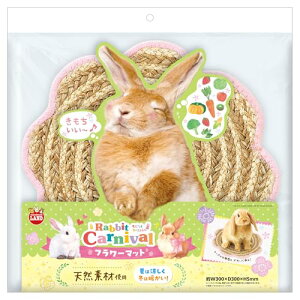 ~j}h rbgJ[jo t[}bg p P[W~ 킢VRfރ}bg  `` bgp