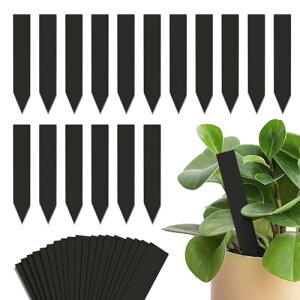 |x vcl[v[g ^/100 T^/ 60 Ԓd A K[fjO JԂg A^O  