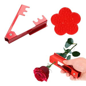 õgQ 2_Zbg KNgQ t o Ƃʂ Ƃ h Ƃ gQ  ΂ o̞菜 K[fjO