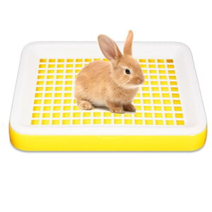  gC ybggC gC bggC gCbVfUC 25*19.5*3cm ~j gCg[jO 