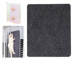 EsiFare K ܌ Xebv P[W t tNK ܌ Xebv 􂦂 ܐ؂   P[W