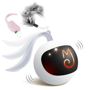 ~M|[YiMigipawsj L   ˂̂ ەt d lC lV lR Vѓ cat toy p L