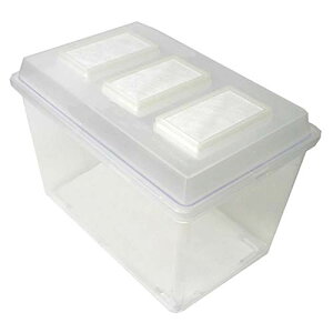 KKDYWQZEE V[P[X vX`bNRoGVbgAEgP[X NK^p RoGVb^[t^E{