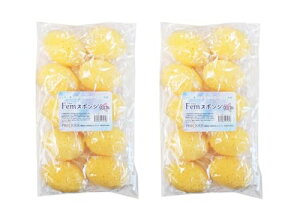 ƖplHC FemX|W10×2iv20j Tj^[pi pi ĝ CȂɂVf Ղz oϓI + k