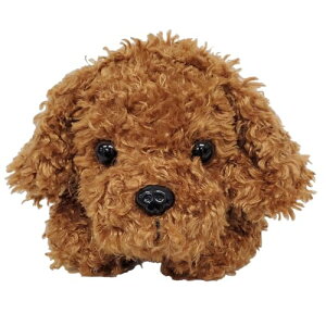 BESTEVERAj}yP[X ʂ݃|[` M  gCv[h Toy Poodle 48103