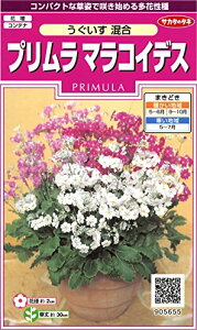 �T�J�^�̃^�l �����5655 �v������ �}���R�C�f�X ������������ 00905655