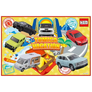 XP[^[Skater qp W[ V[g lp STCY  60×90cm g~J 24 j̎q VS1-A