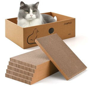 AUSCAT �L �܌��� �i�{�[�� �߂Ƃ� �ւ� 6������ �L�x�b�h���p �_���{�[�� �� 37×27×13CM