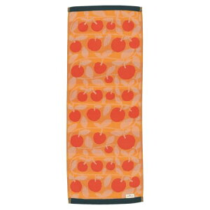  tFCX^I |N polku sbNIi 킢 k 0545029400