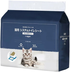 by �V�X�e���g�C���p ���L�V�[�g ������ 30����